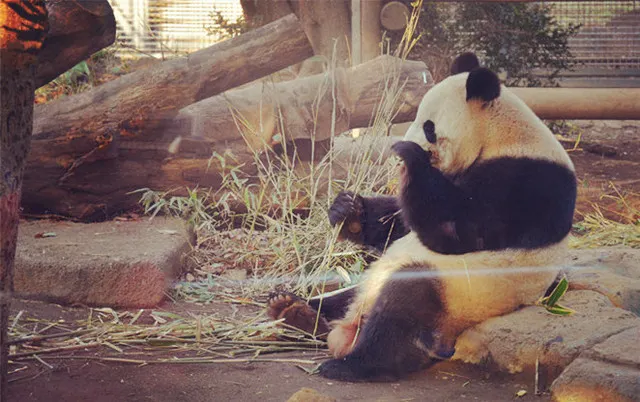 The Best Choice for a Family Trip, the Hottest Destinations for a Family in Tokyo