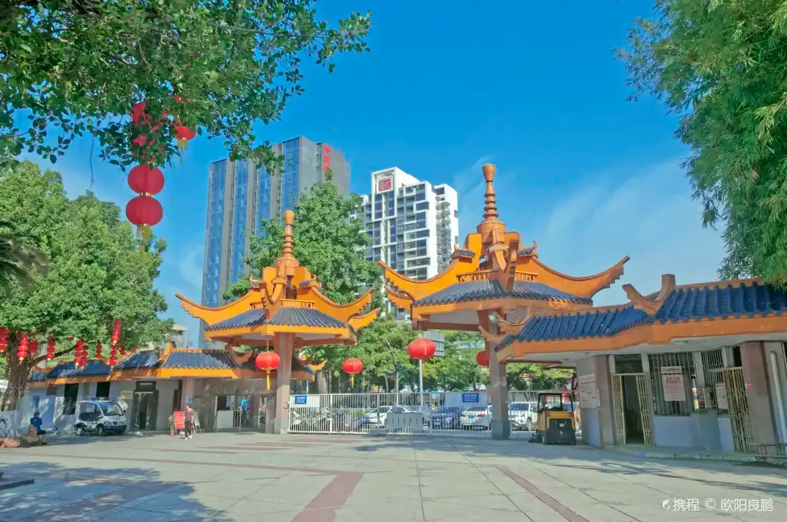 Hotels near Jinsha Park
