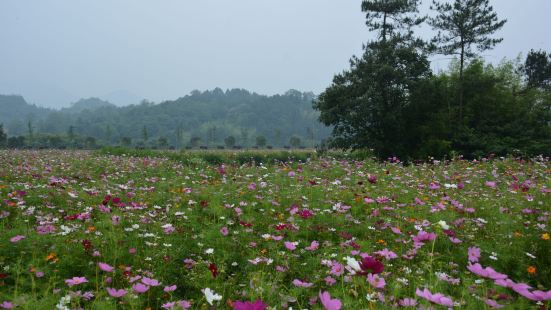 荆溪位于衢州柯城区石室乡荆溪村，也就是在烂柯山的山脚边上，是