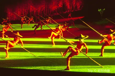 Impression Dahongpao
