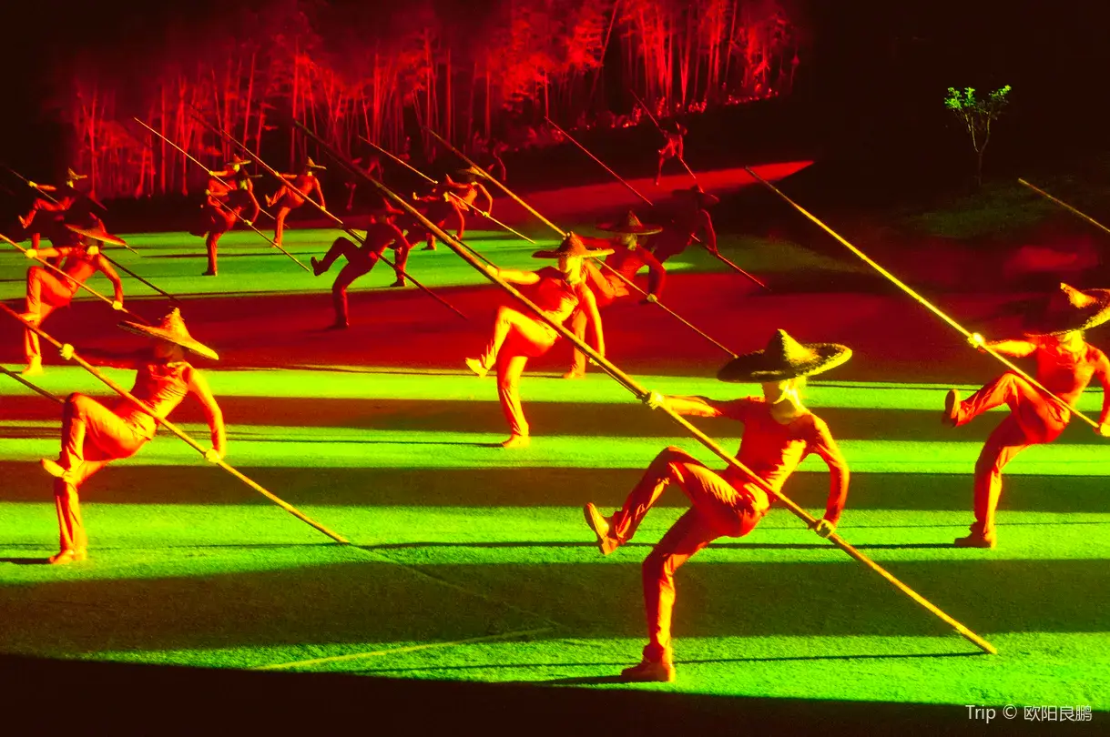 1_Impression Dahongpao