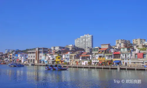 Shapowei Typhoon Shelter