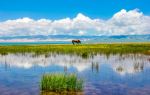 Qinghai Lake