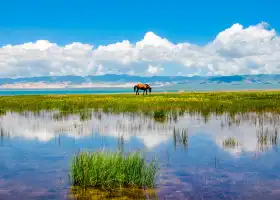 青海湖