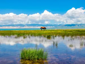 Qinghai-See