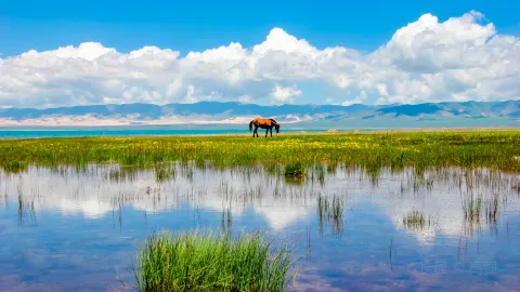 Qinghai Lake attraction in Xining