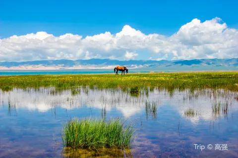 Qinghai Lake