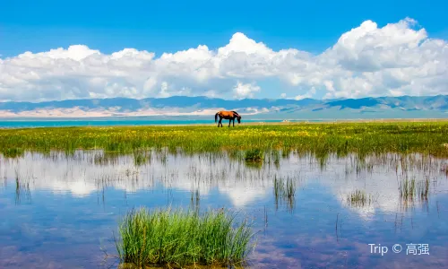 Qinghai Lake
