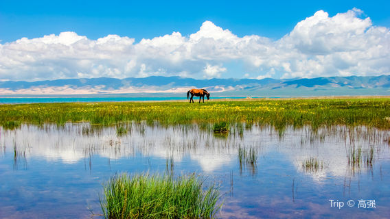 Qinghai Lake