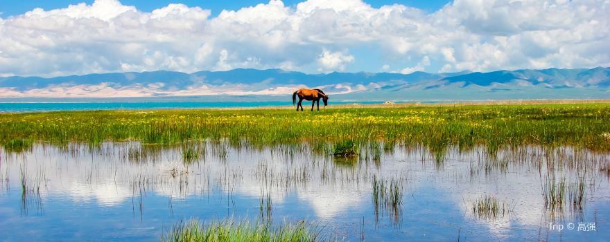 Qinghai Lake