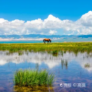 青海湖