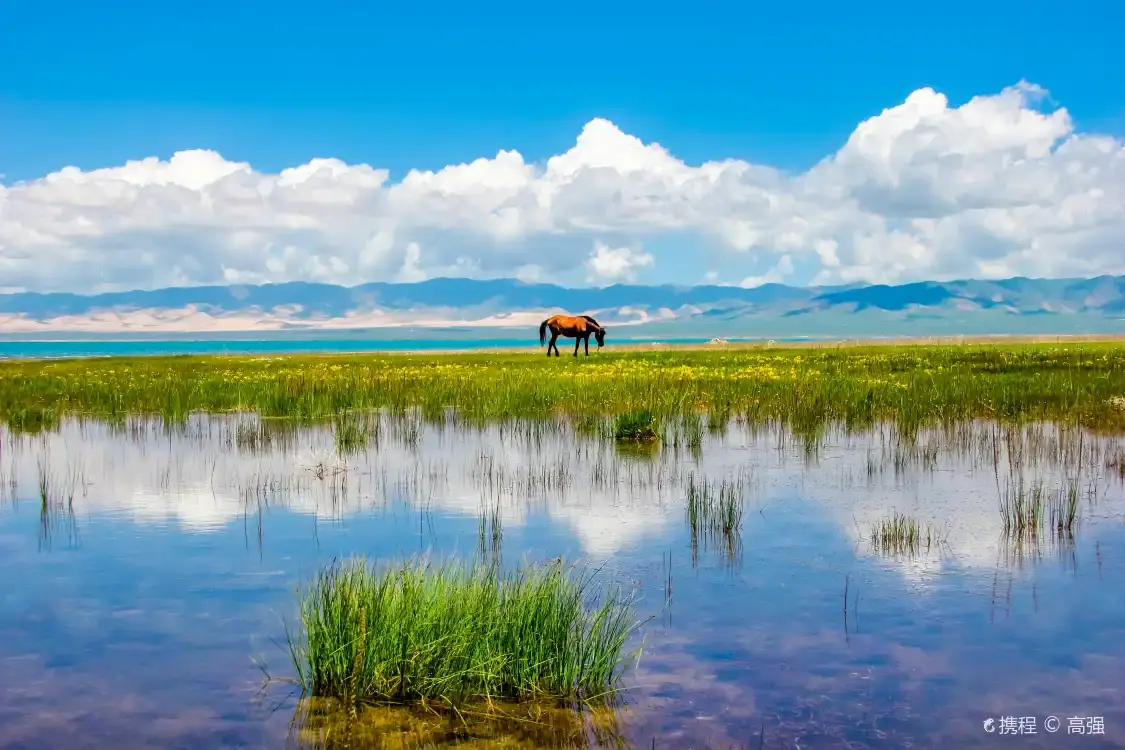 Hotels near Qinghai Lake