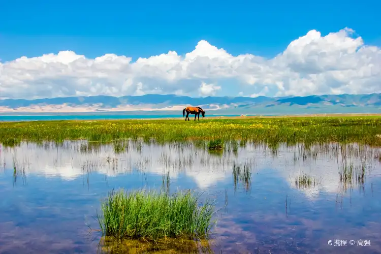 Hotels near Qinghai Lake