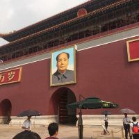 評論圖片 6
