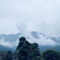 評論圖片 2