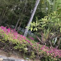 評論圖片 2