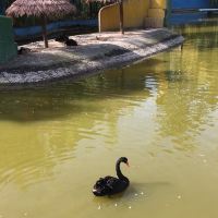 評論圖片 1