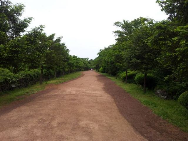 비자림