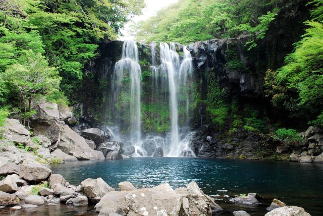 천지연 폭포 Attractions - city Travel Review -2019년 12월 14일Travel Guide ... 천지연 폭포 Attractions - City Travel Review -2019년 12월 14일Travel Guide ...