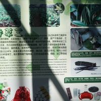 評論圖片 6