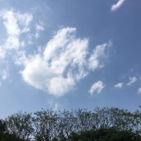 評論圖片 3
