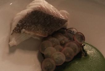 SONS & DAUGHTERS張用戶圖片