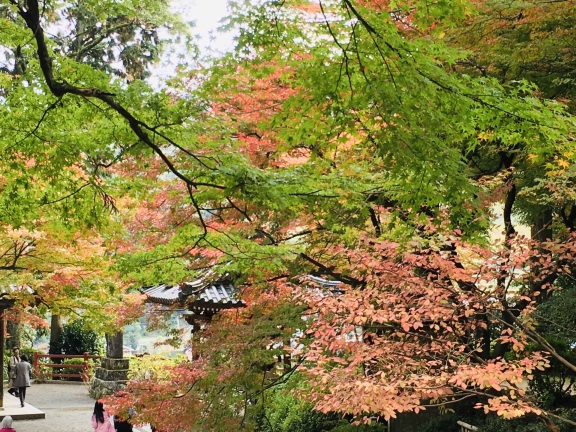 大興善寺景點評價 大興善寺門票 大興善寺優惠 大興善寺交通 地址 開放時間 大興善寺附近景點 酒店及美食 Trip Com