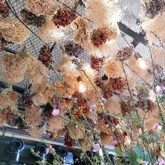 Peking Garden User Photo