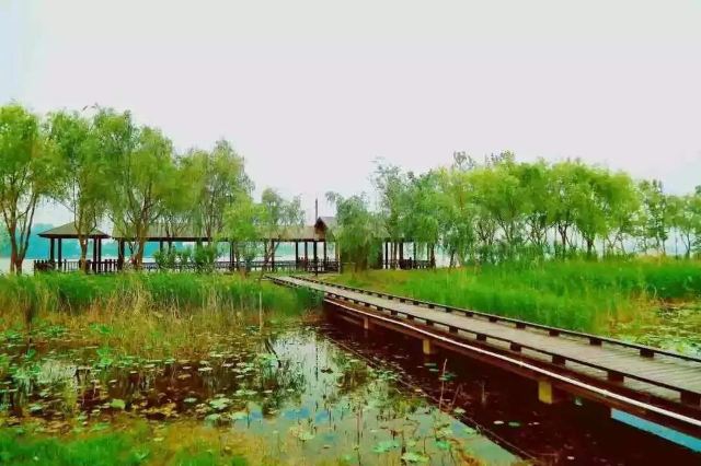 Shahe Wetland Park
