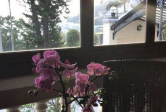 露台餐廳 (淺水灣)用戶圖片