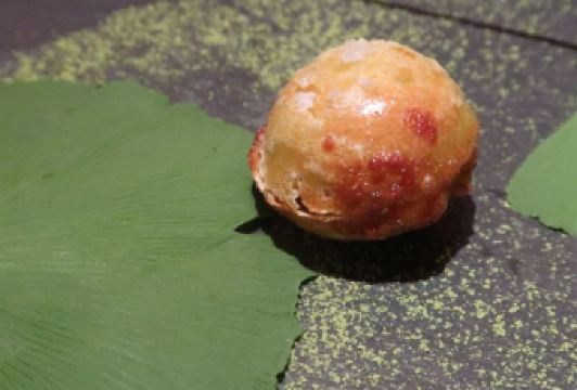 Fujiya 1935 User Photo