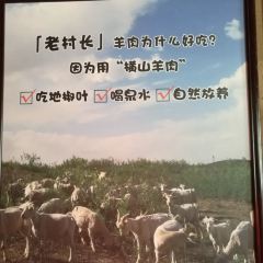 老村长大锅肉(靖边店) User Photo