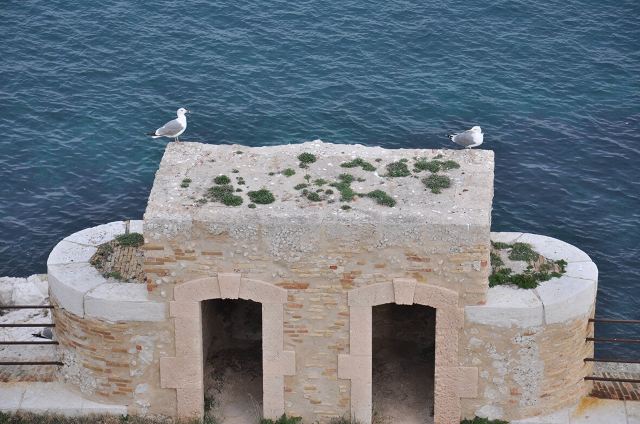 Chateau d'If