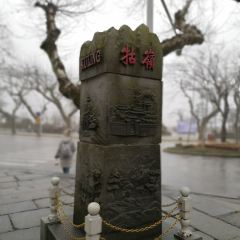 Maixiangyuan (jiexingongyuan) User Photo