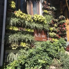 Rumi Restaurant·Naxi Garden Yunnan Cuisine User Photo
