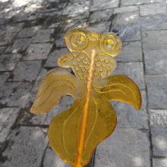阿妈野生菌土鸡腊排骨·蒸汽石锅鱼 User Photo