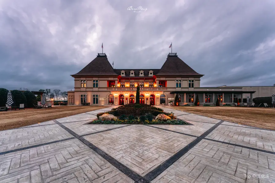 Chateau Elan Winery & Resort