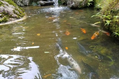 Chuan Kie Restaurant