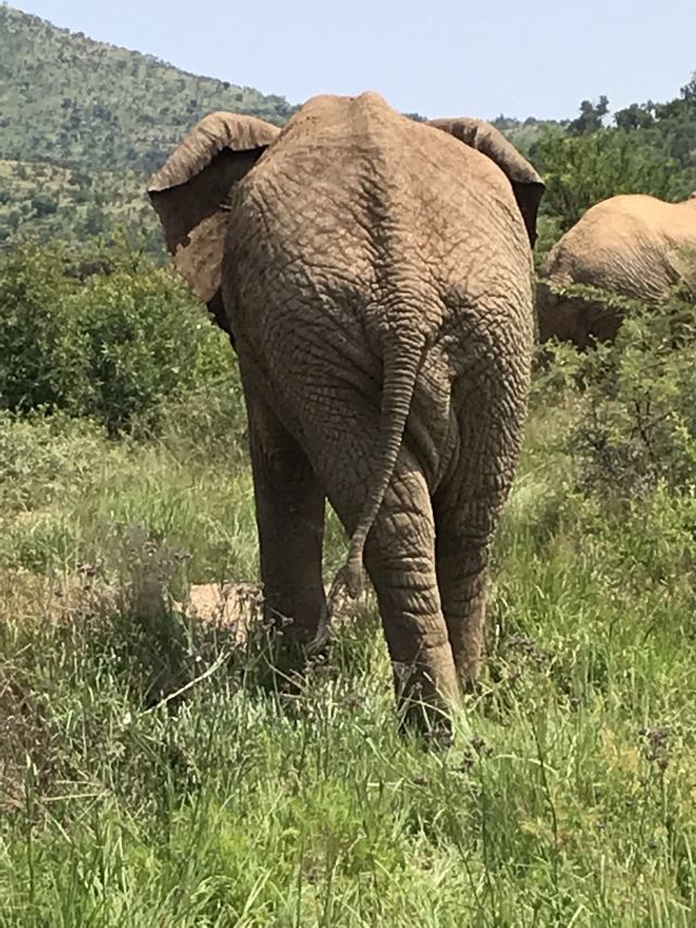 Johannesburg Zoo
