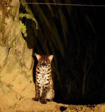 踏繽野生動物保護區