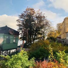 Mathias Dahlgren張用戶圖片