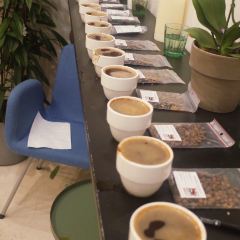 Coffee Shop Sova張用戶圖片