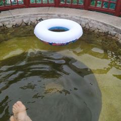阿尔卡迪亚酒店餐厅 User Photo