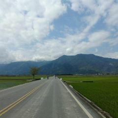 Wutaochishangfanbao (taidongchishang) User Photo