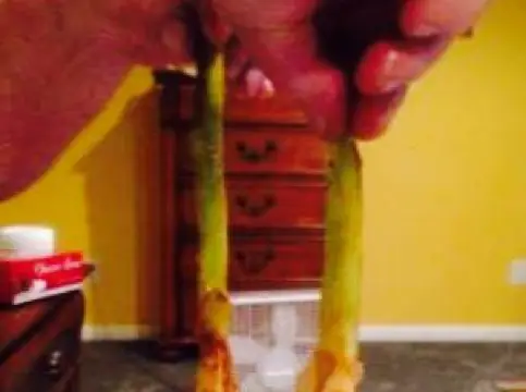 El Ranchito Mexican Restaurant