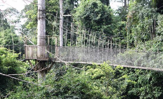 Kakum National Park