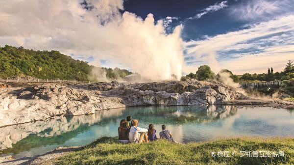 Flüge von Doha nach Rotorua