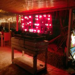 Aplaya the Beach Bar & Italian Food 여행 사진
