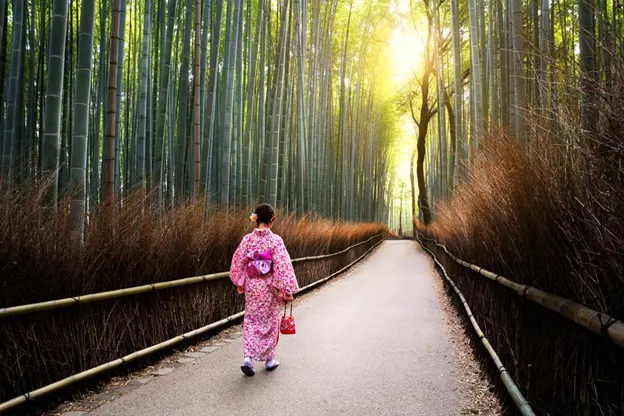 Kimono Experience in Kyoto: Best Rental Stores and Photo Spots