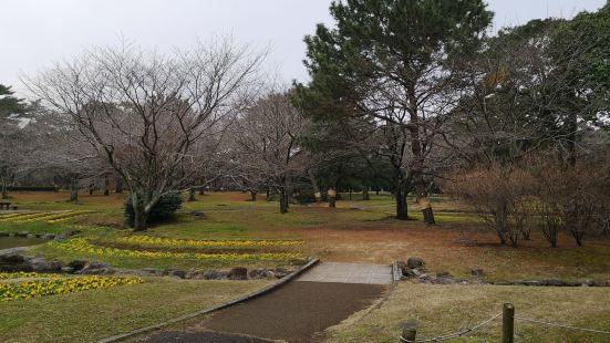 別府最有名的是溫泉旅館和地獄景觀，來自世界各地的遊客均是為此